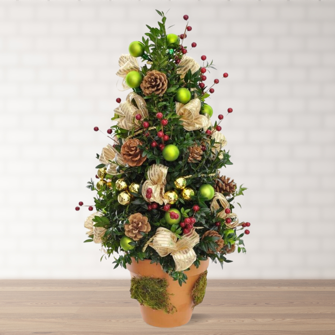 Boxwood Christmas Tree Workshop | Atlantic Gardening